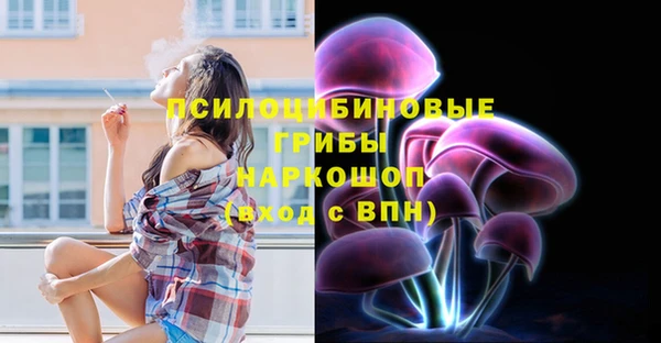стафф Алексеевка