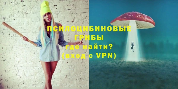 apvp Алзамай