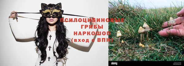 стафф Алексеевка