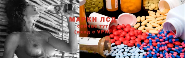 apvp Алзамай