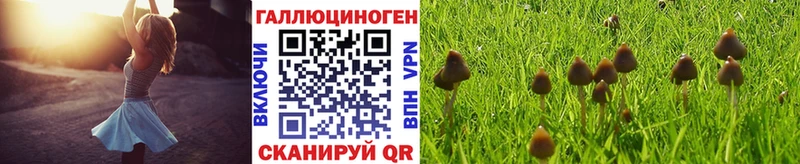 Псилоцибиновые грибы GOLDEN TEACHER  Еманжелинск 