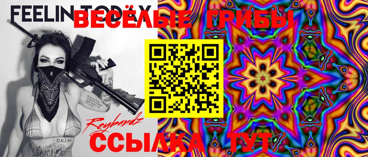 Еманжелинск  Псилоцибиновые грибы Psilocybe  Вход с VPN 
