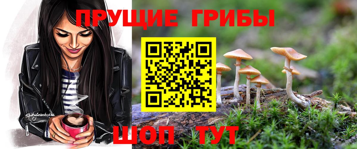 Галлюциногенные грибы Psilocybine cubensis Еманжелинск